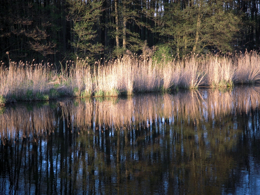 Picture 041